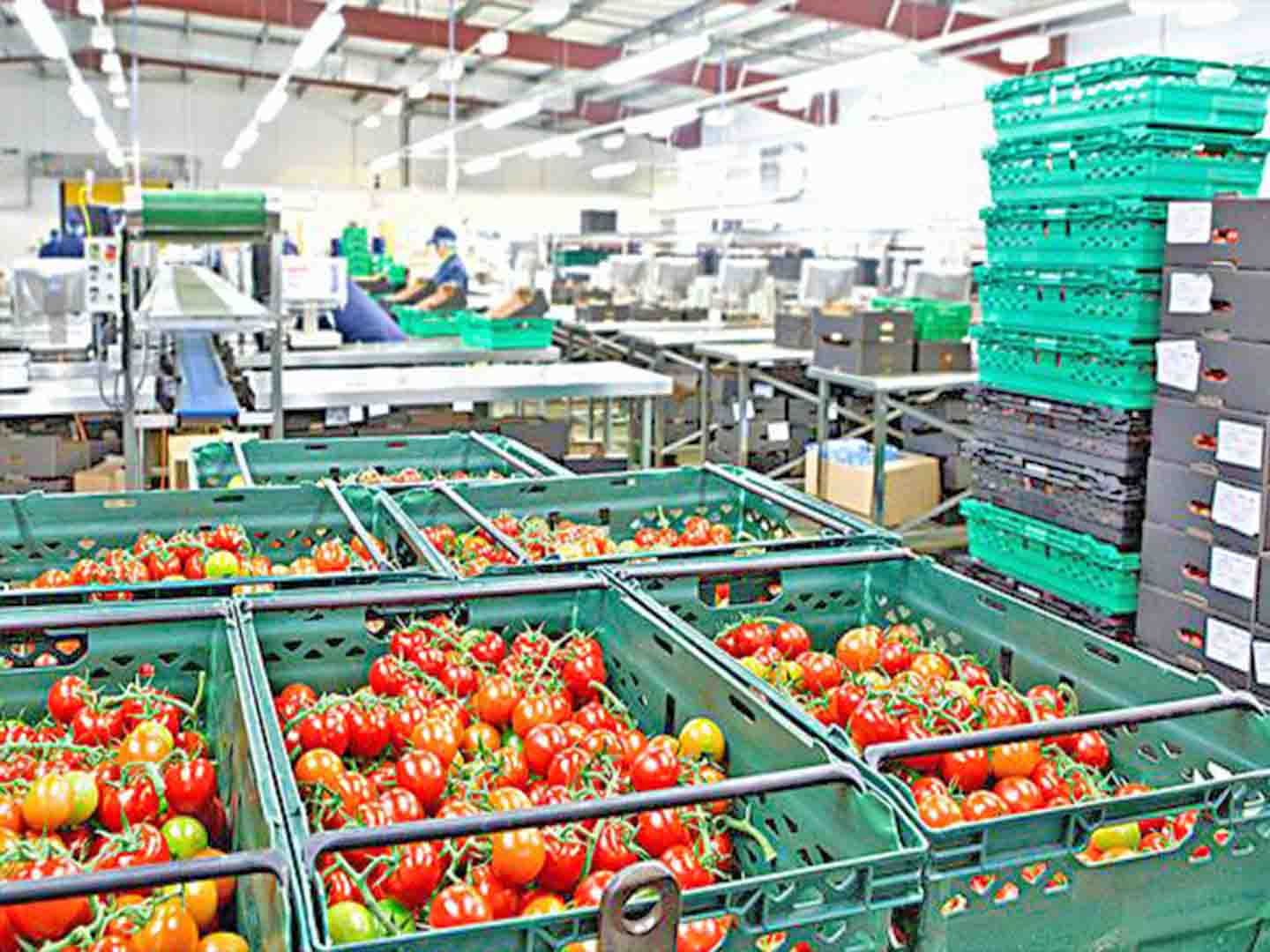 ʳƷ�ӹ��S����ϏS